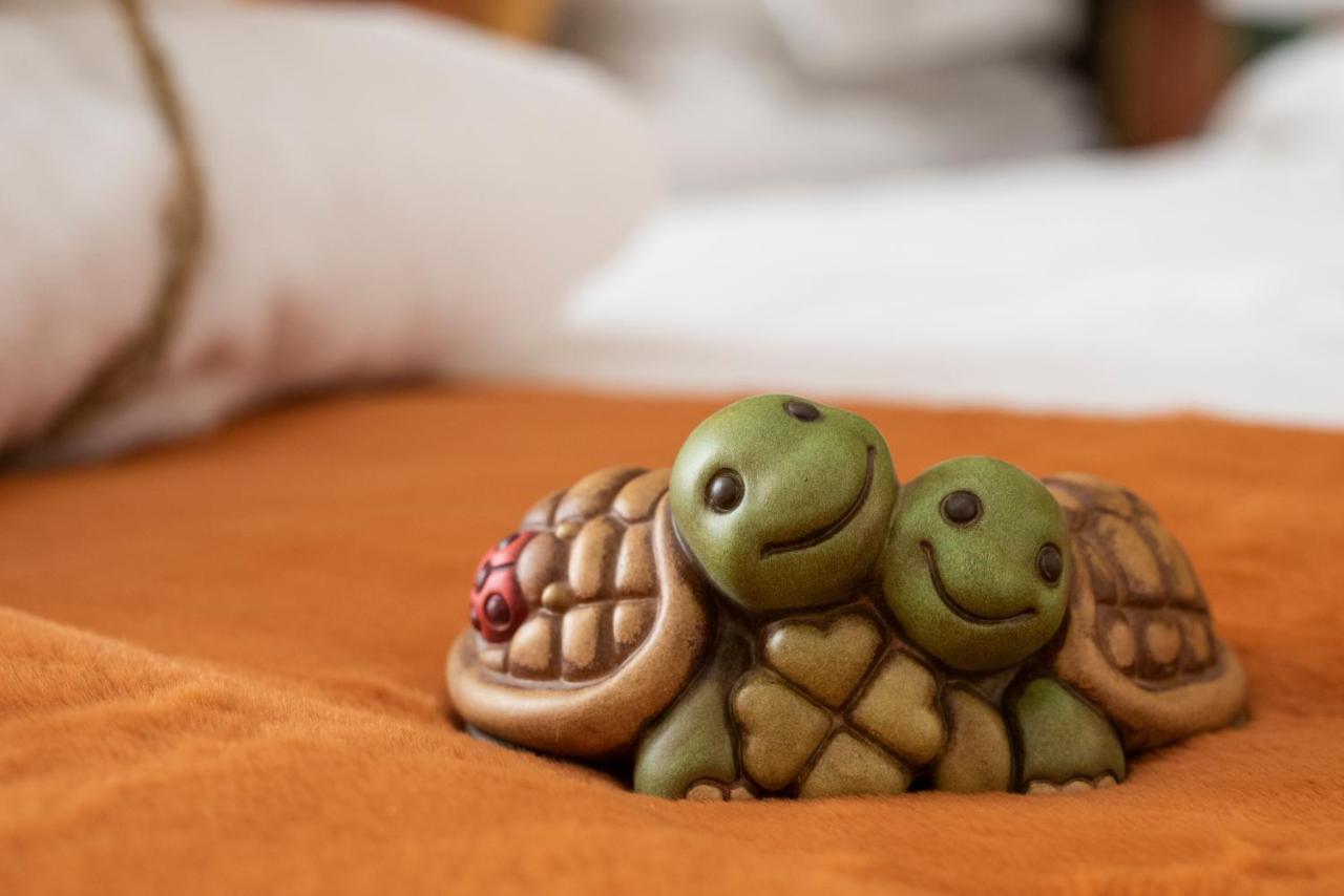 La Casa Delle Tartarughe Hotel Рим Екстериор снимка